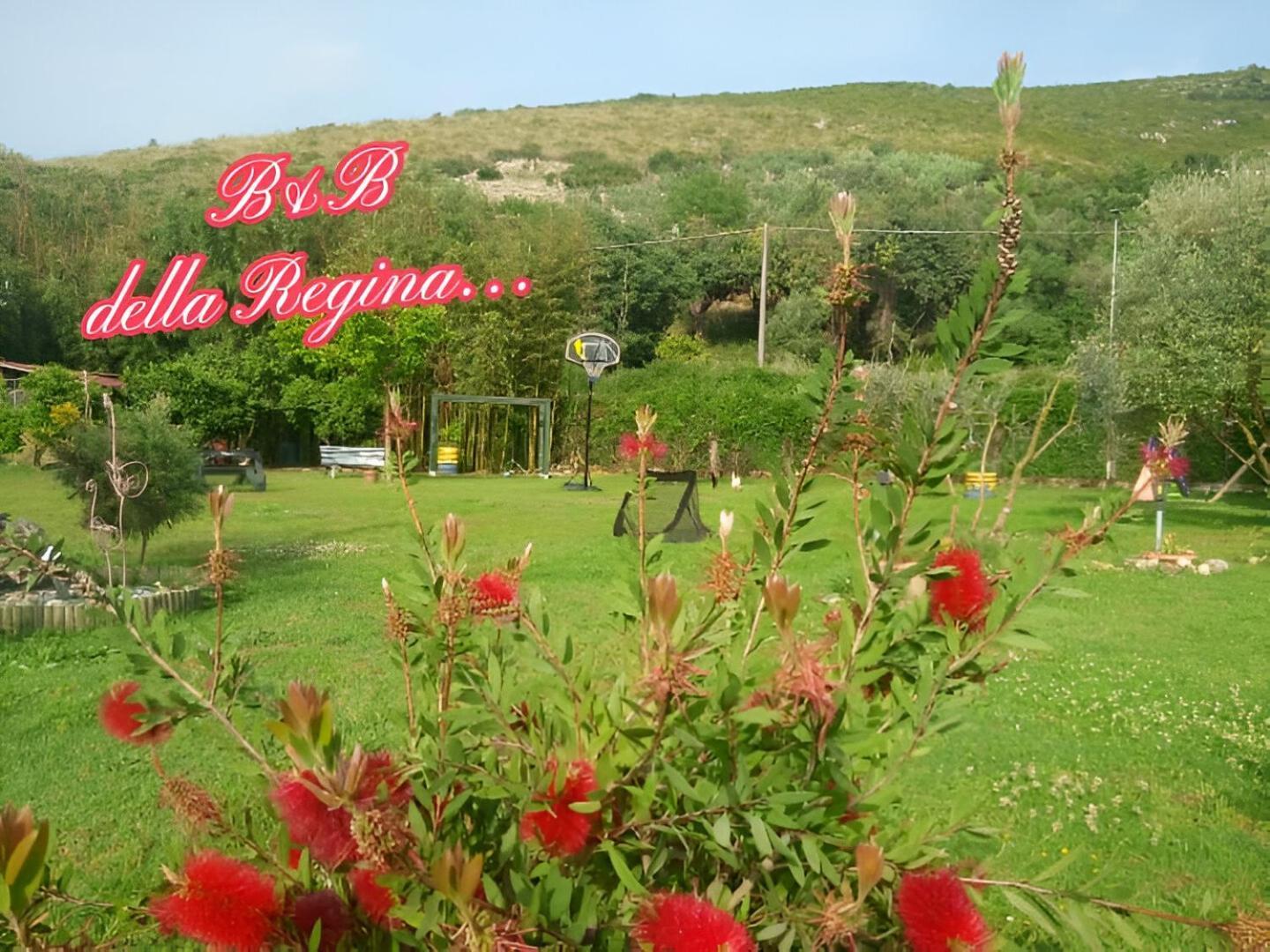 Bed And Breakfast Della Regina... 폰디 외부 사진