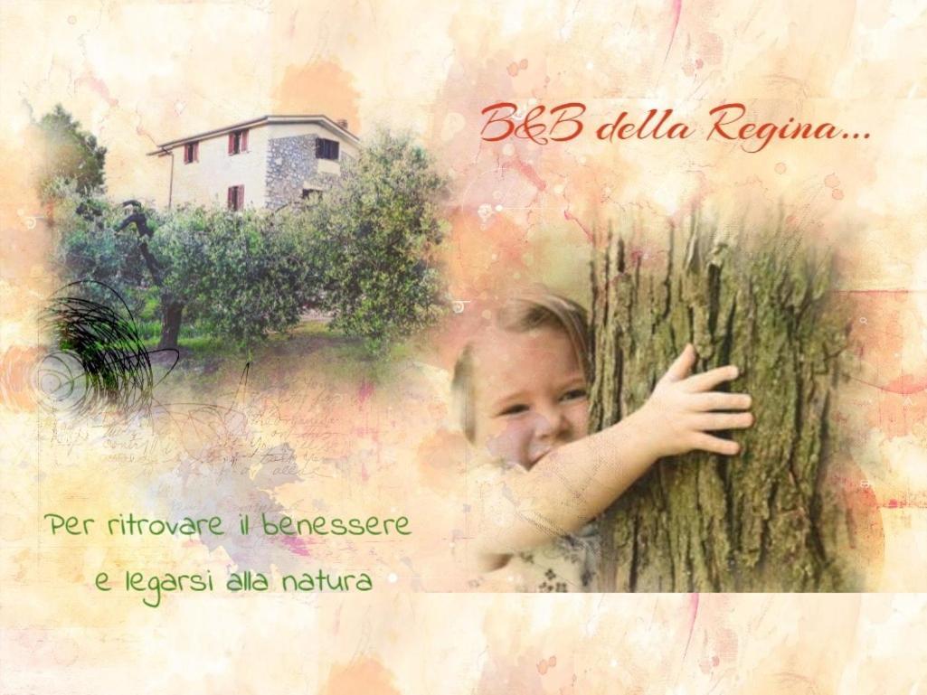 Bed And Breakfast Della Regina... 폰디 외부 사진